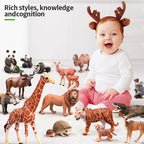 Educational Solid Simulation Animal Models Wild Animal World Toys - Elephant Crocodile Hippo Giraffe Action Figures for Kids