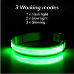USB Rechargeable Luminous Collar Adjustable Led Glowing Dog Collar for Large Small Dogs Cat Night Light Collar Pet Safety Harnes - WTN Essentials 