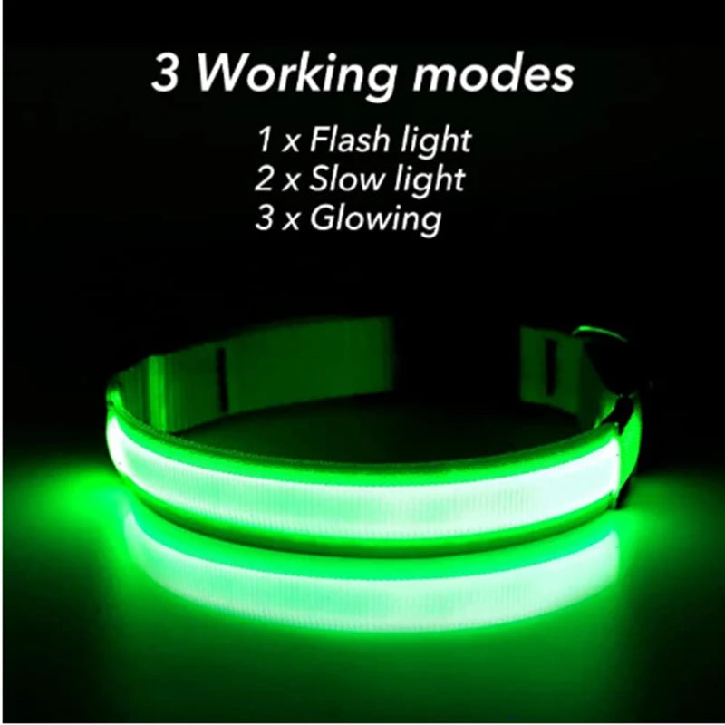 USB Rechargeable Luminous Collar Adjustable Led Glowing Dog Collar for Large Small Dogs Cat Night Light Collar Pet Safety Harnes - WTN Essentials 