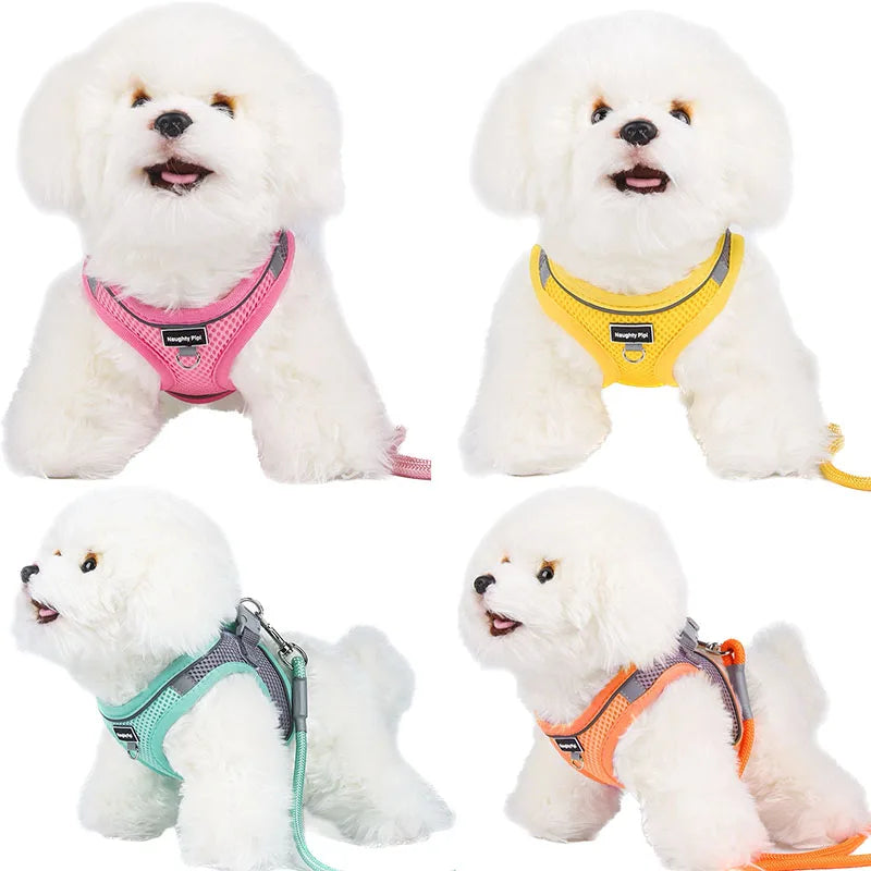 Adjustable Dog Harness & Leash Set for Small Dogs
