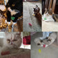 Kitten Cat Toys Wide Durable Heavy Gauge Cat Spring Toy Colorful Springs Cat Pet Toy Coil Spiral Springs 4/8/16/20pcs - WTN Essentials 