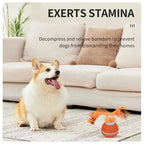 Smart Dog Toys Interactive Teasing Ball With Motion Activated Automatic Moving Squeaky Dog Toy Balls Puppy Chew Toys Knot Rope