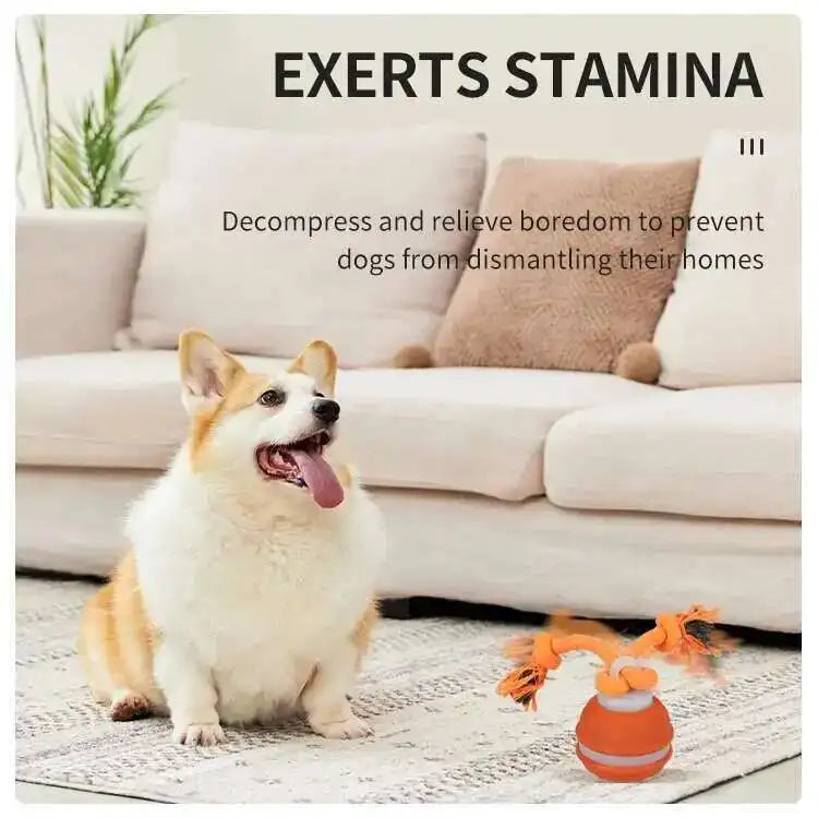 Smart Dog Toys Interactive Teasing Ball With Motion Activated Automatic Moving Squeaky Dog Toy Balls Puppy Chew Toys Knot Rope