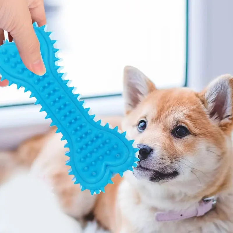 1PCs Pet Chew Toy Soft Rubber Bite-resistance Bone Shape Teeth Grinding Chewing Toys for Small Dogs Training Pet Supplies