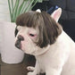Funny Pet Cosplay Wig – Dog & Cat Costume Hair Hat for Halloween