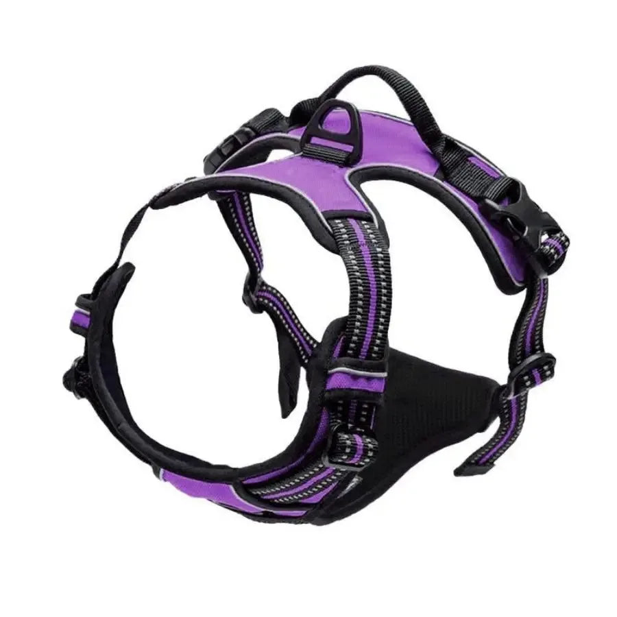 Dog Collars Harness Big Vests Leash Pet Shop Everything for Dogs Leather Puppy Accessories Medium Small Set - WTN Essentials 
