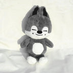 New Stray Kids SKZOO Plush Toy Teddy Hug Pillow Doll Fans Gift Plush Toy Seoul FM Week Cloak Doll Magic School Kid Birthday Gift