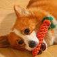 Durable Rope Knot Dog Toy – Hand-Woven Cotton Chew Toy for Small & Medium Dogs