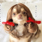 NONOR Pet Wig – Funny Cosplay Hair Hat for Dogs & Cats