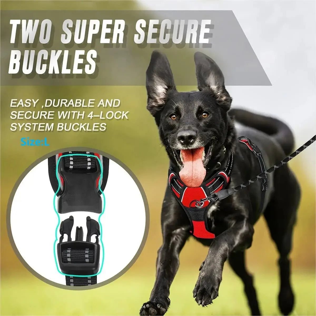 Dog Collars Harness Big Vests Leash Pet Shop Everything for Dogs Leather Puppy Accessories Medium Small Set - WTN Essentials 