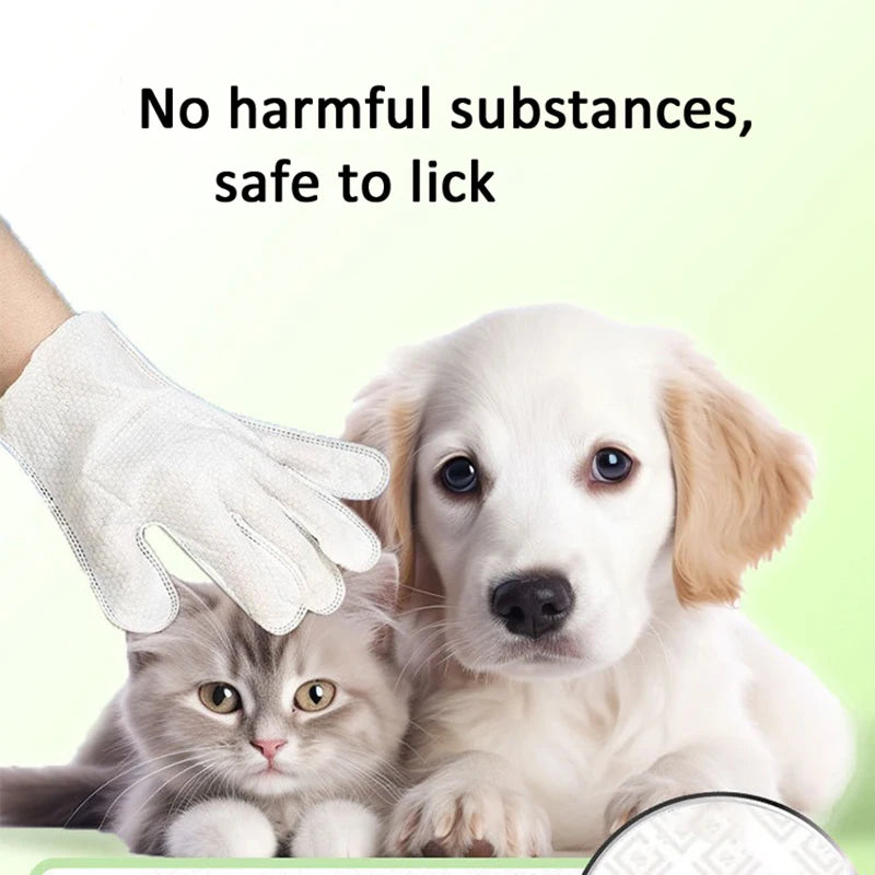 Pet wash free cleaning gloves cat and dog bathing deodorization dry cleaning wet wipes for puppies and kittens 6 pieces - WTN Essentials 