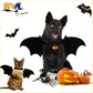 Bat Halloween Costume for Cats & Dogs