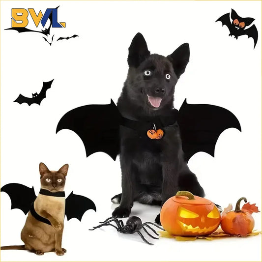 Bat Halloween Costume for Cats & Dogs