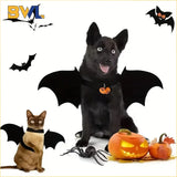 Bat Halloween Costume for Cats & Dogs