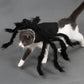 Funny Halloween Costumes – Spider Halloween Cat Costume for Pets