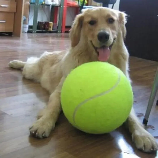 Giant Dog Tennis Ball – 7/8/9.5 Inch Chew & Training Toy