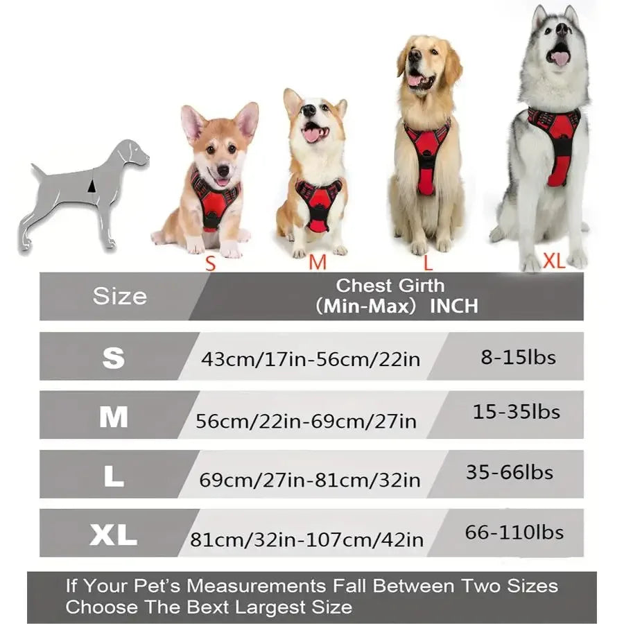Dog Collars Harness Big Vests Leash Pet Shop Everything for Dogs Leather Puppy Accessories Medium Small Set - WTN Essentials 