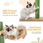 5-Tier Cat Tree Tower with Scratching Posts & Hammock