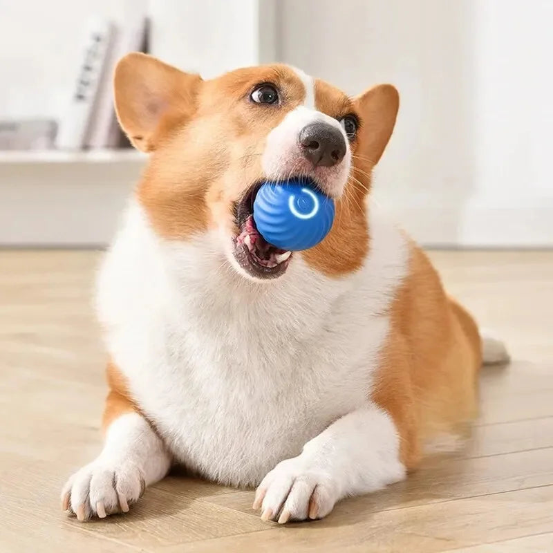 Smart Dog Toy Ball Electronic Interactive Pet Toy Moving Ball USB Automatic Moving Bouncing for Puppy Birthday Gift Cat Products - WTN Essentials 