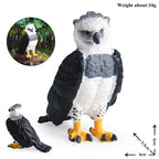 Oenux Wild Bird Animals Forest Night Eagle Condor Figurines PVC Action Figure Garden Decoration Education Miniature Toy Kid Gift