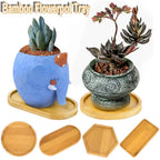 Simple Style Home Decoration Succulents Bonsai Holder Round Square Flowerpot Base Hexagon Rectangle Bamboo Wood Tray