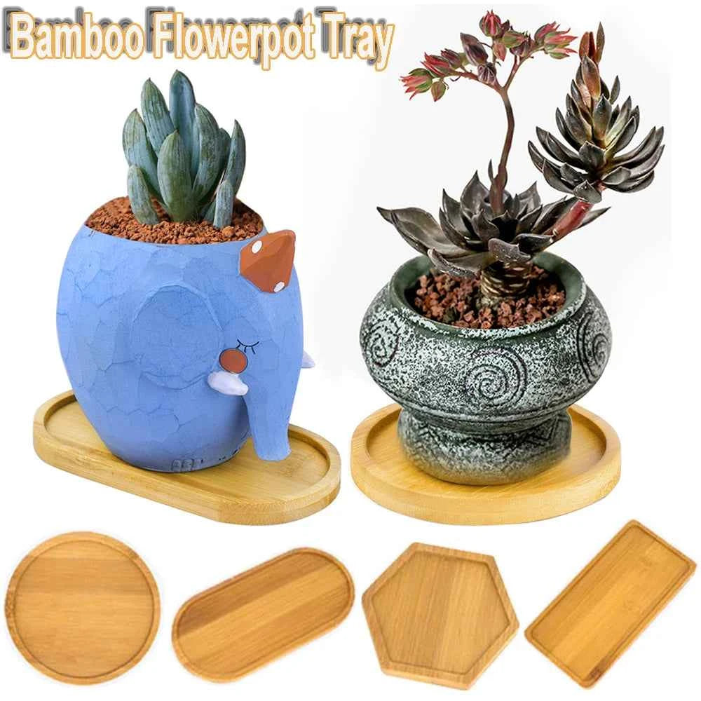 Simple Style Home Decoration Succulents Bonsai Holder Round Square Flowerpot Base Hexagon Rectangle Bamboo Wood Tray