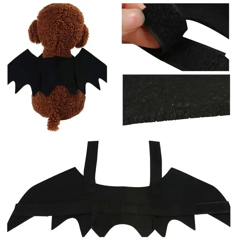 Bat Halloween Costume for Cats & Dogs