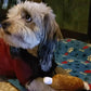 7-Piece Plush Puppy Toy Set – Chew, Play & Sound