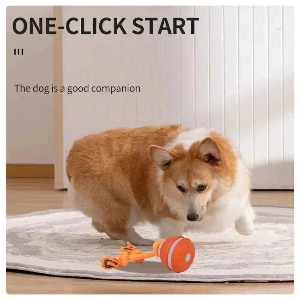 Automatic Interactive Rolling Ball Dog Toy for Smart Active Play