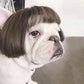 Funny Pet Cosplay Wig – Dog & Cat Costume Hair Hat for Halloween