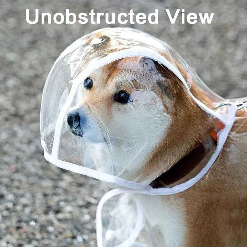 Pet Raincoat Transparent Dog Raincoat Waterproof and Windproof Pet Clothing Large Dog Pet Dog Dog Costume