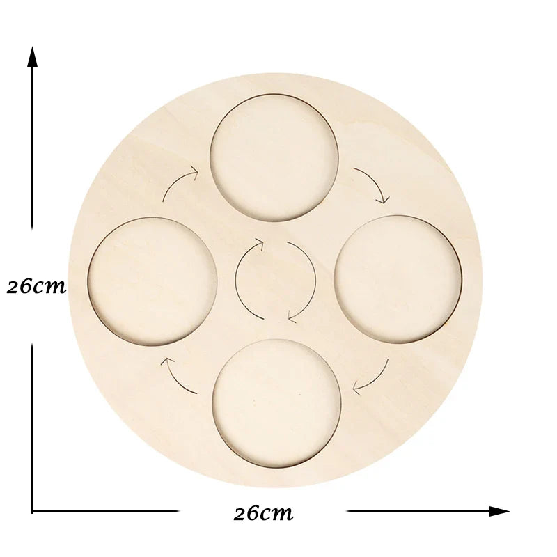 Montessori Animal and Plant Life Cycle Biology Model Toy Set