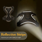 Cat Harness and Leash Set for Safe Adventures