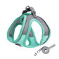 Adjustable Dog Harness & Leash Set for Small Dogs