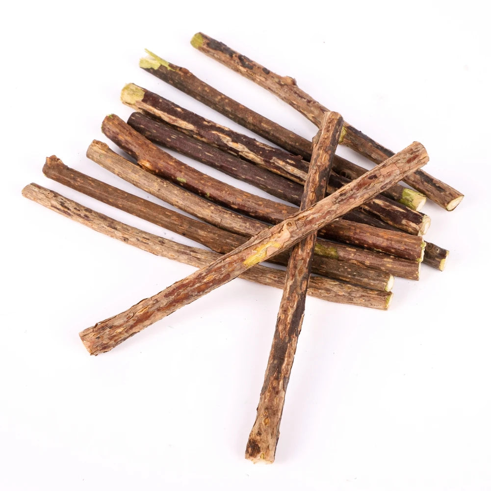 Silvervine Sticks for Cats Natural Catnip Chew Sticks Teeth Molar Chewing Toys for Cat Kitten Kitty Gifts - WTN Essentials 