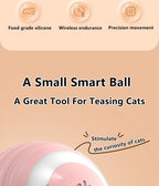 2PCS Cat Interactive Ball Indoor Automatic Rolling Magic Ball Smart Cat Toys Electronic Interactive Cat Toy Cat Game Accessories - WTN Essentials 
