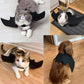 Cat Halloween Costume – Bat Wings, Hat & Necklace Set