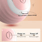 2PCS Cat Interactive Ball Indoor Automatic Rolling Magic Ball Smart Cat Toys Electronic Interactive Cat Toy Cat Game Accessories - WTN Essentials 