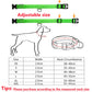 USB Rechargeable Luminous Collar Adjustable Led Glowing Dog Collar for Large Small Dogs Cat Night Light Collar Pet Safety Harnes - WTN Essentials 