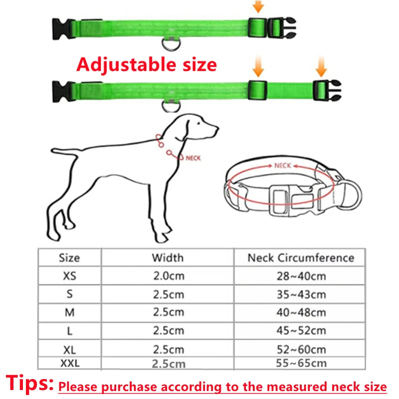 USB Rechargeable Luminous Collar Adjustable Led Glowing Dog Collar for Large Small Dogs Cat Night Light Collar Pet Safety Harnes - WTN Essentials 