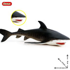 Oenux Ocean Animals Action Figures Sealife Shark Whare Megalodon Model Figurines PVC Home Decoration Kid Cognitive Education Toy