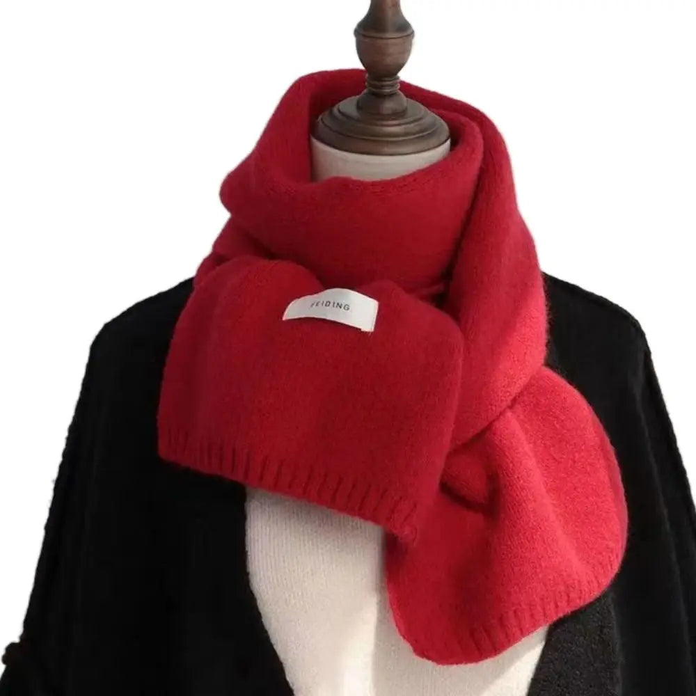 Fashion Cashmere Scarf Women Winter Shawls And Wraps Hijab Blanket Ladies Thick Neckerchief Bufanda Pashmina Long Echarpe