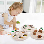 Montessori Animal and Plant Life Cycle Biology Model Toy Set