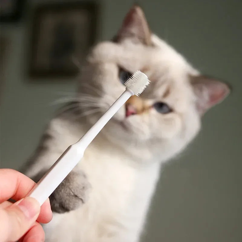Cat Toothbrush Soft Hair Brush for Cats Mouth Cleaning Cat Brush for Teeth Cleaning Pet Grooming Cats Toothbrush Pet Products - WTN Essentials 