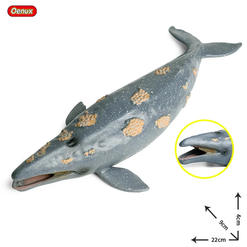 Oenux Ocean Animals Action Figures Sealife Shark Whare Megalodon Model Figurines PVC Home Decoration Kid Cognitive Education Toy