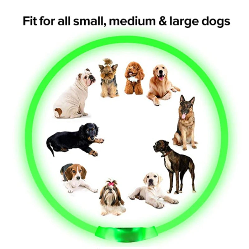 USB Rechargeable Luminous Collar Adjustable Led Glowing Dog Collar for Large Small Dogs Cat Night Light Collar Pet Safety Harnes - WTN Essentials 