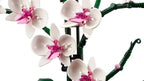 Orchid Bouquet Block flower Potted Building Blocks Sets  10311 Compatible With Legoed Particles Suitable For Christmas Gifts