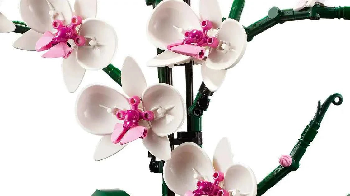 Orchid Bouquet Block flower Potted Building Blocks Sets  10311 Compatible With Legoed Particles Suitable For Christmas Gifts