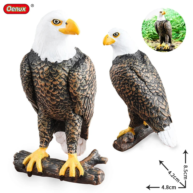 Oenux Wild Bird Animals Forest Night Eagle Condor Figurines PVC Action Figure Garden Decoration Education Miniature Toy Kid Gift
