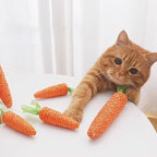 Sound Carrot Cat Toy | Teething & Anti-Bite Cuddle Stick for Cats
